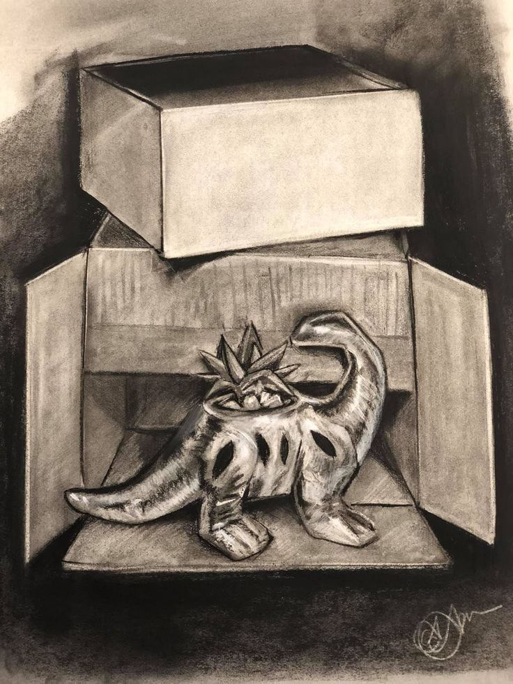 Cardboard Box _Alannah Anderson