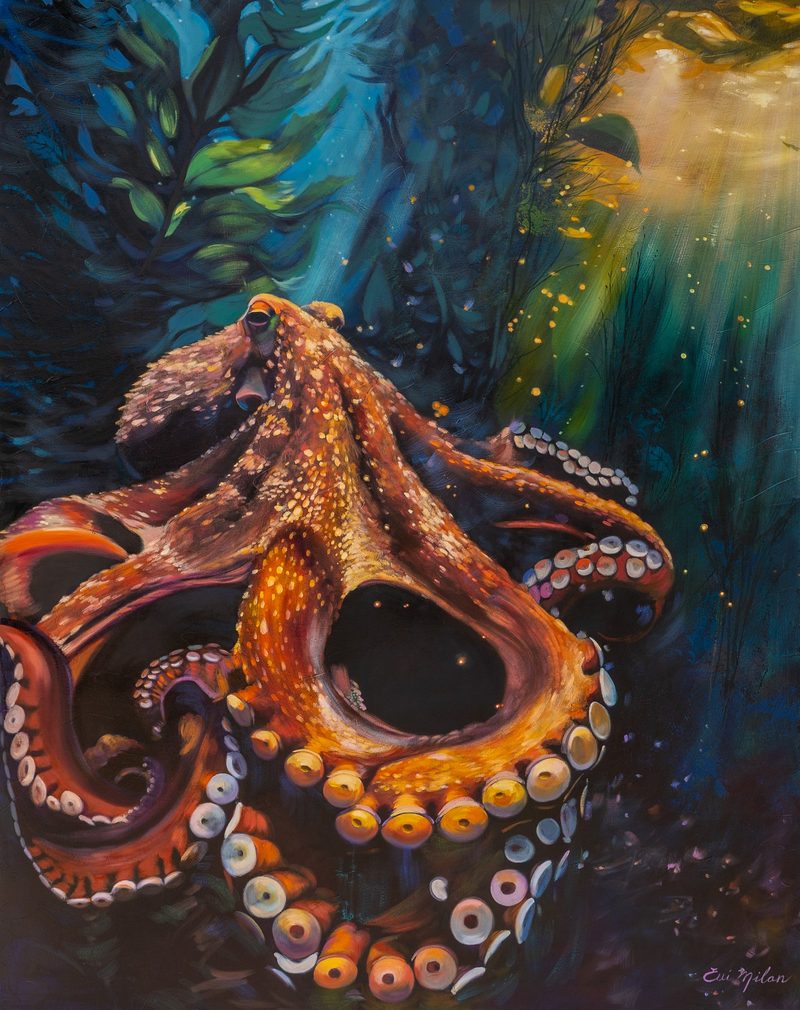 Between Ember and Tide, an orange octopus in deep blue water