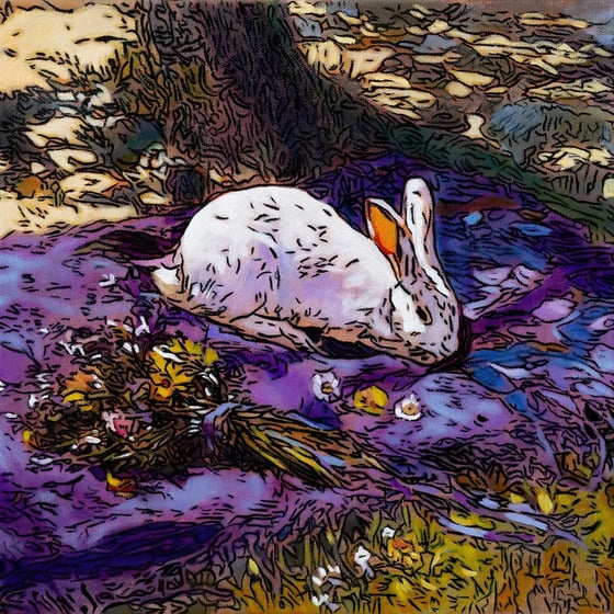 Idyllic, a white rabbit resting on a purple blanket